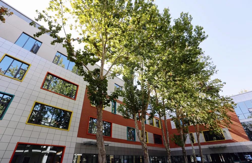 山影星工坊的秋色,與心中的美好不期而遇 山影星工坊的秋色,與心中的美好不期而遇