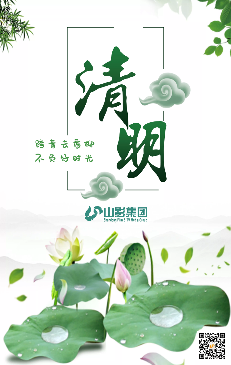 踏青去看柳  不負好時光