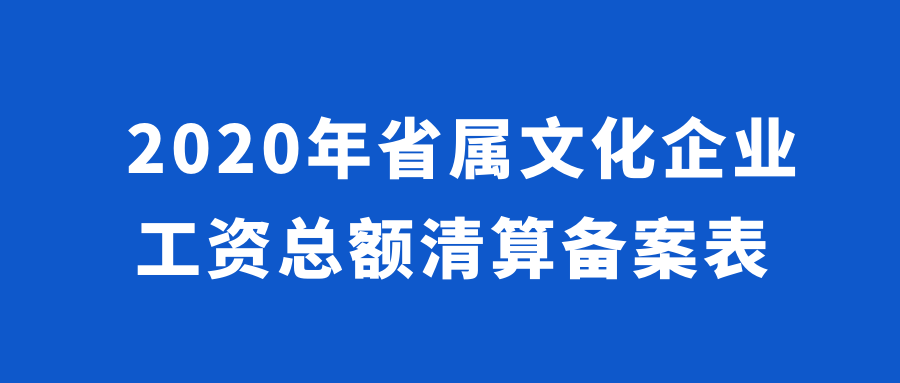 2020年省屬文化企業工資總額清算備案表