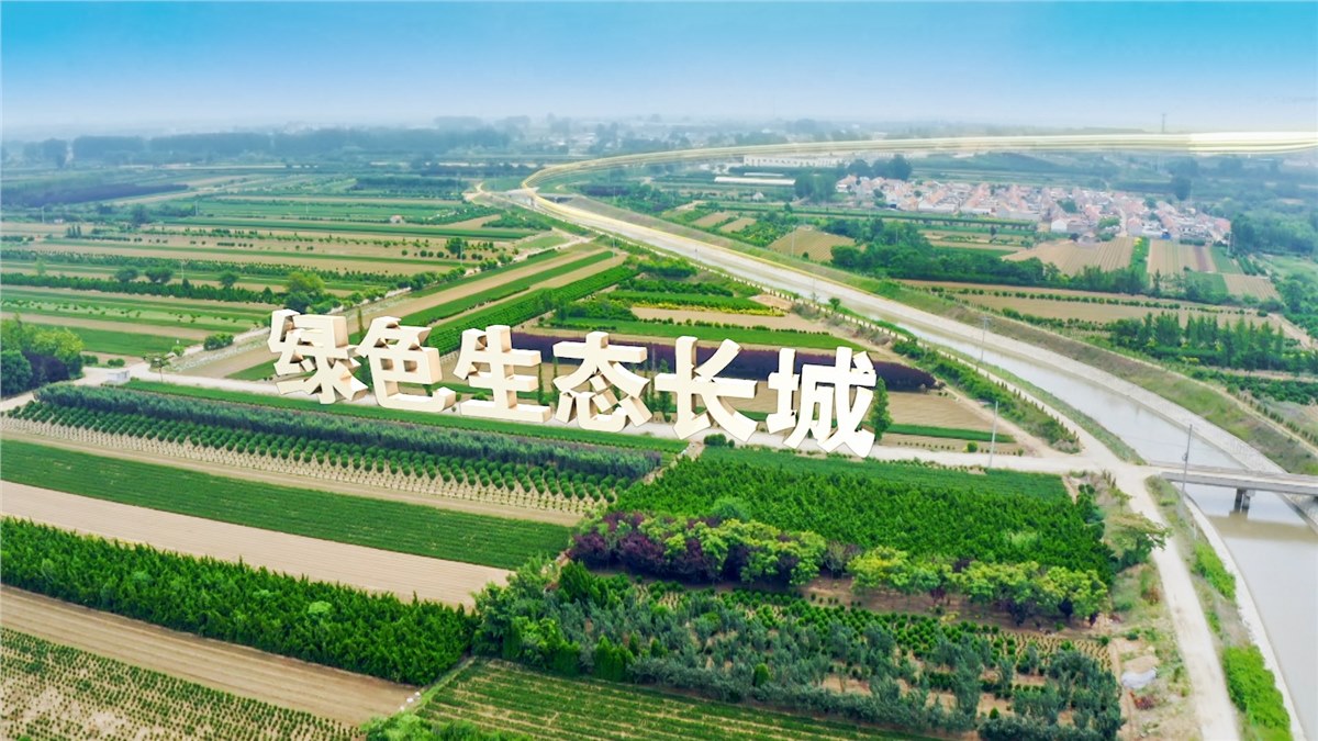 《調水為民 服務發展》齊魯音像凝聚護水合力