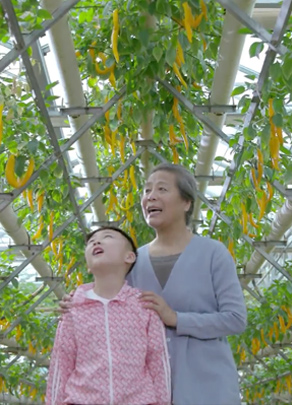 節水公益廣告——農業篇